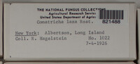 Image Associated With the Occurence